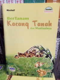 Bertanam Kacang Tanah dan Manfaatnya