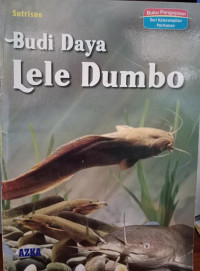 Budidaya Lele Dumbo