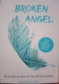 Image of Broken Angel : Jika Kamu Tahu Apa Makna Cinta, Kamu Tidak Akan Merusaknya